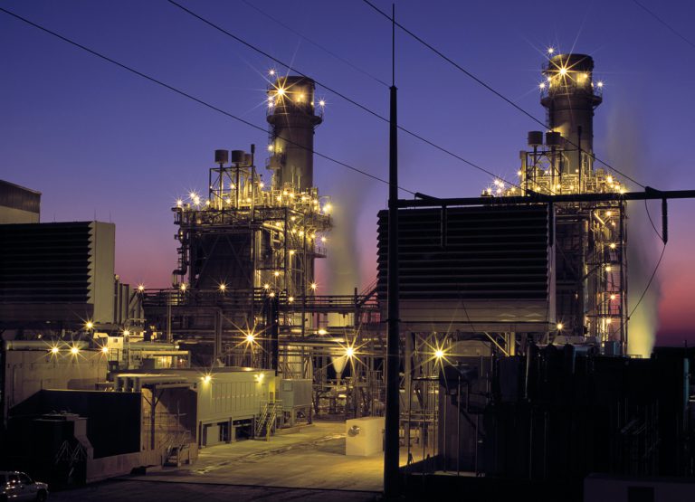 Taxonomie in Zeiten der Krise